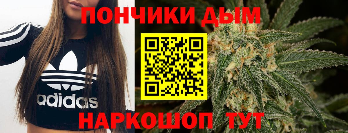 Шишки марихуана Amnesia  Вход с VPN  Бошки марихуана VHQ  Конопля гибрид  Шишки марихуана ГИДРОПОН  Сертолово 